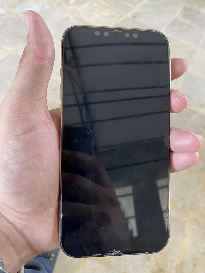 Apple iPhone 12 Pro Max 2