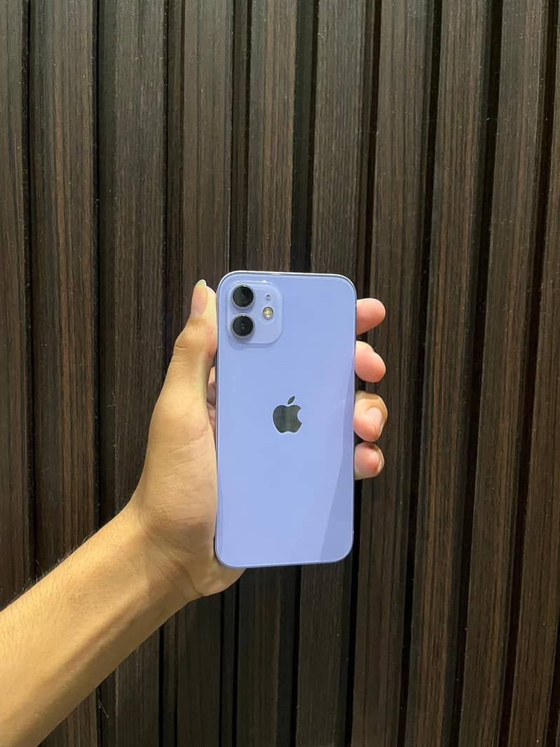 Apple iPhone 12 1