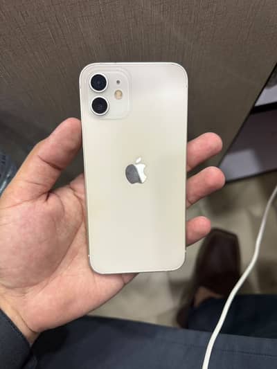 Apple iPhone 12 dual approved