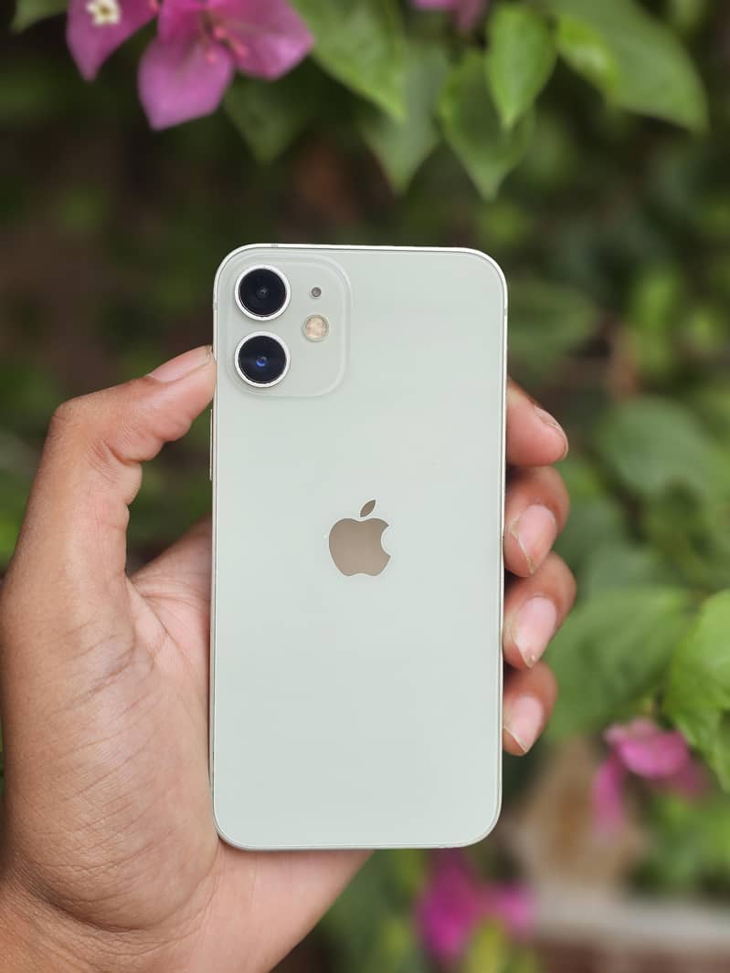 iPhone 12 mini 0