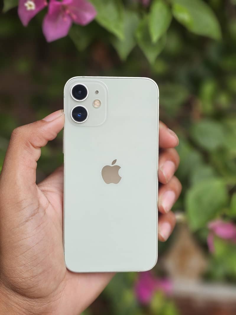 iPhone 12 mini 1