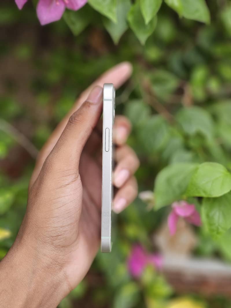iPhone 12 mini 3