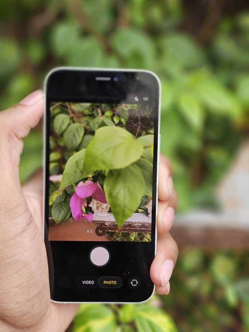iPhone 12 mini 8