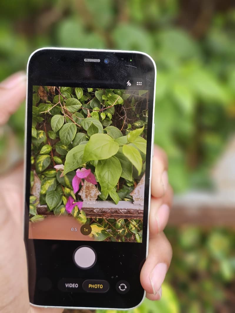 iPhone 12 mini 9