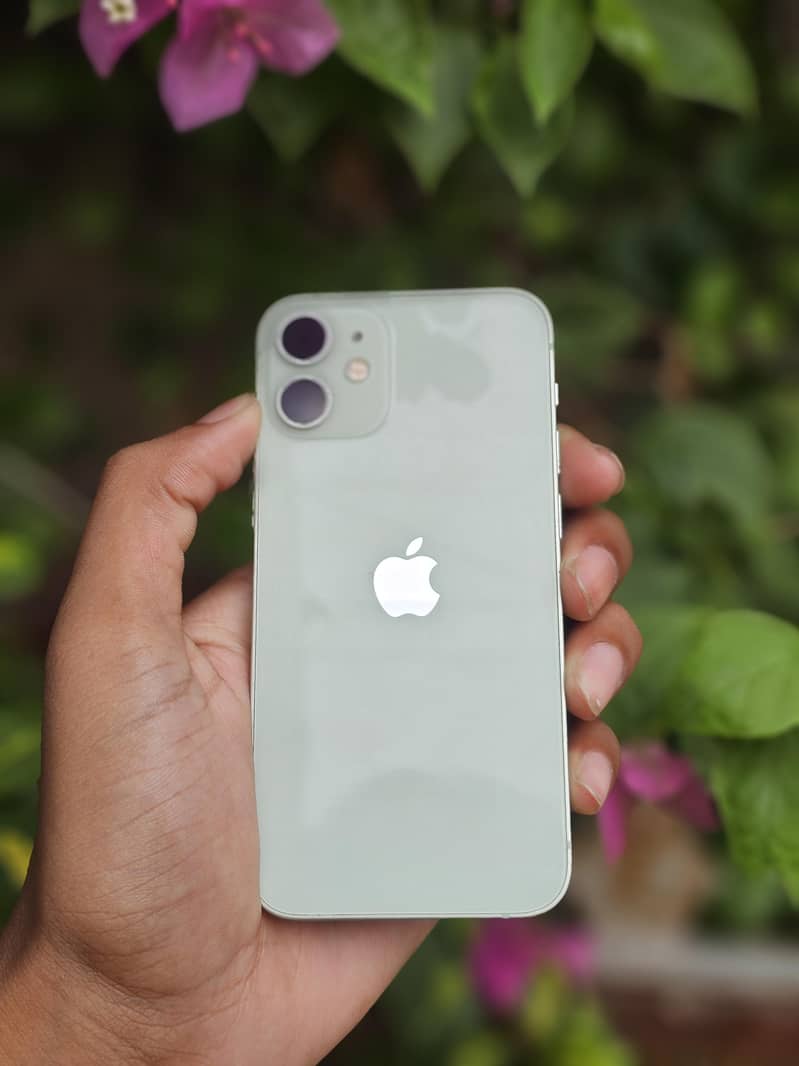 iPhone 12 mini 11
