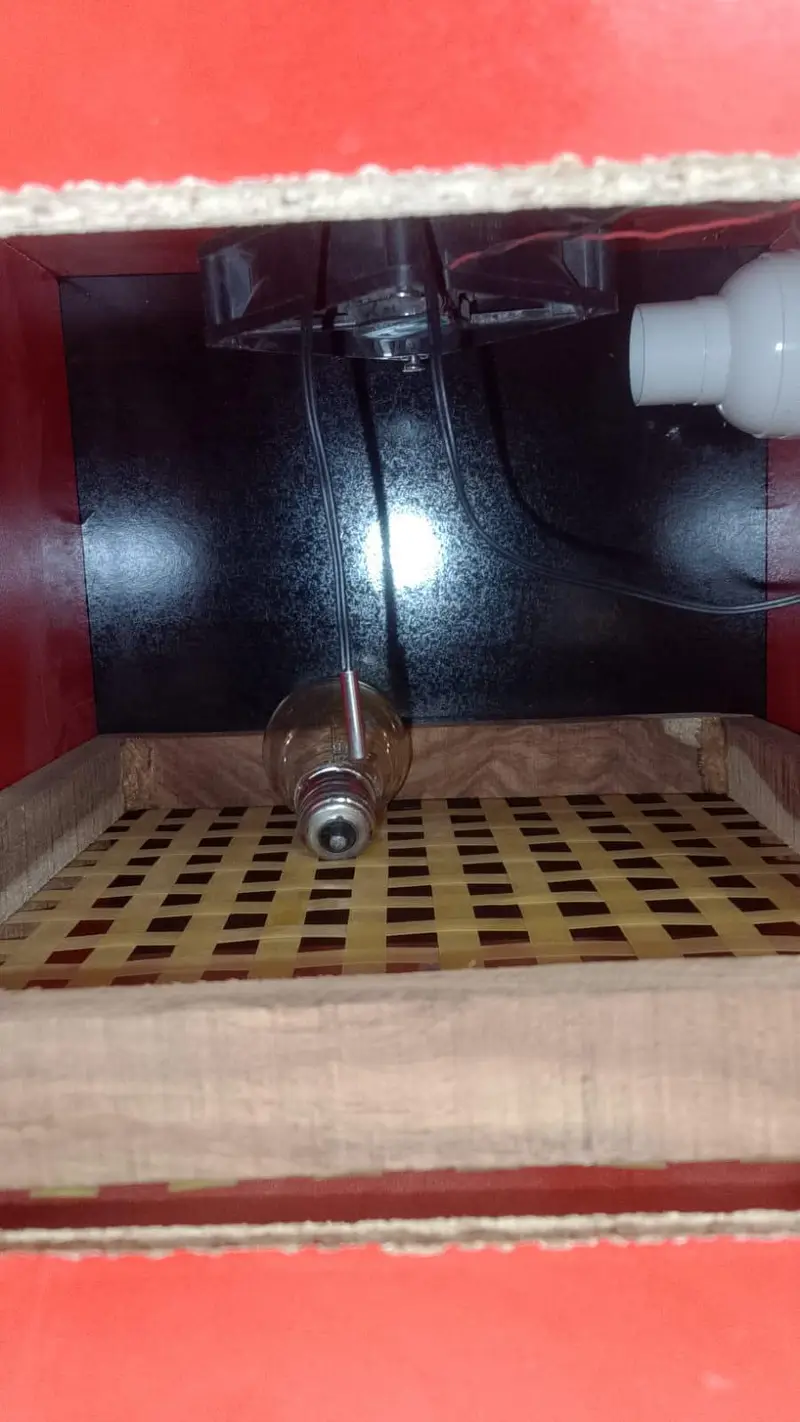 30 Eggs Automatic Incubator – Condition 10/10 — photo 3