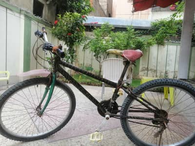 cycle condition 10/7 all ok