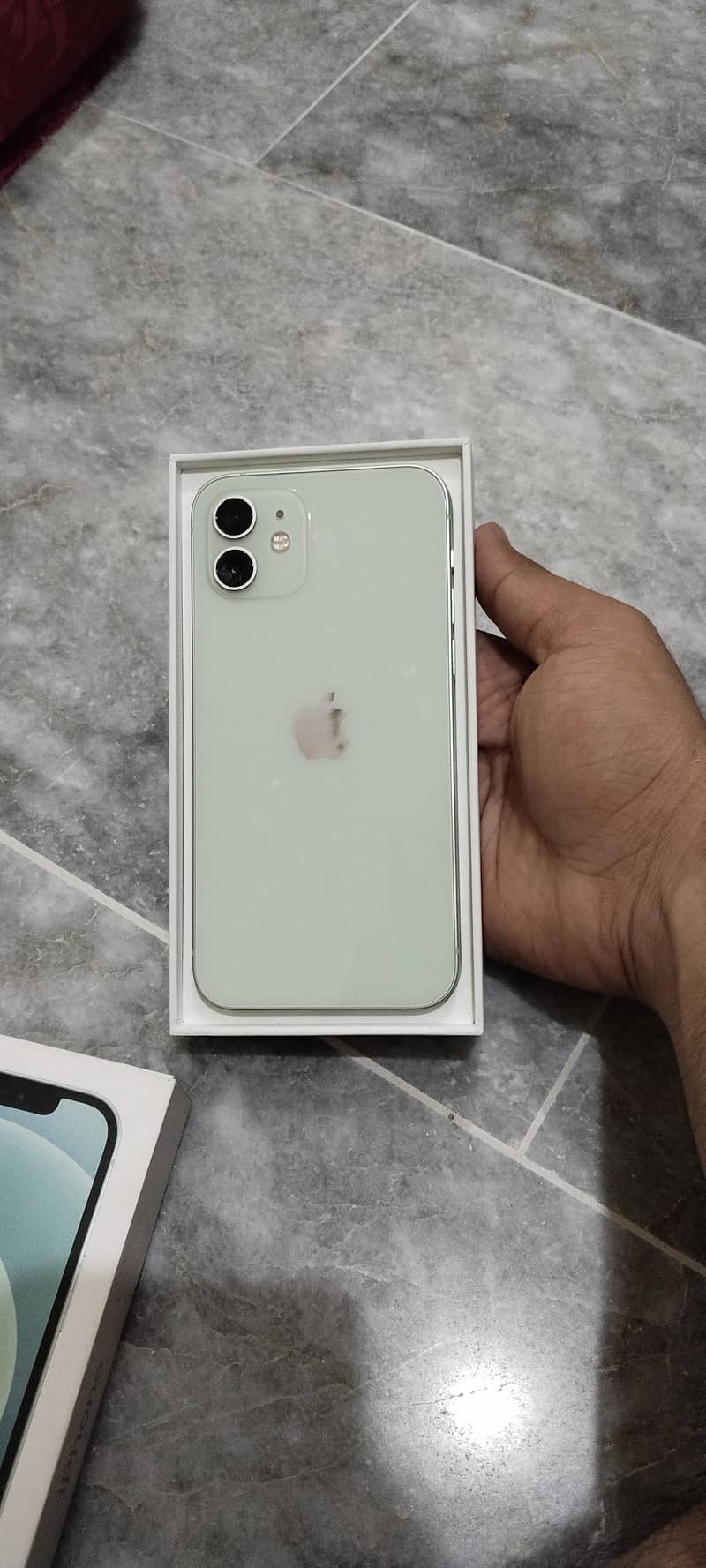 Apple iPhone 12 1