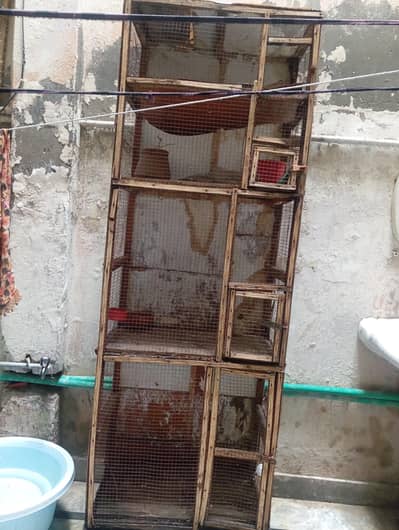 Hen cage