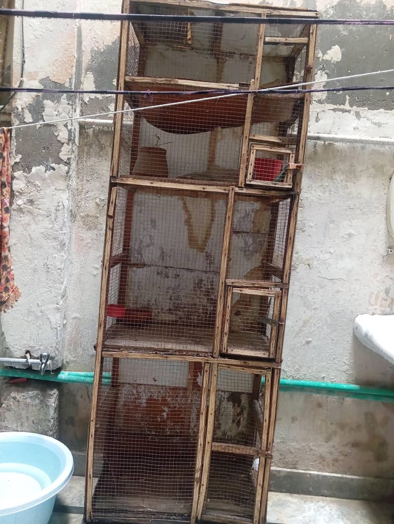 Hen cage 0