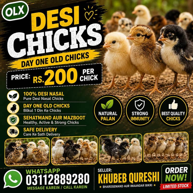 DESSI CHICKS 0
