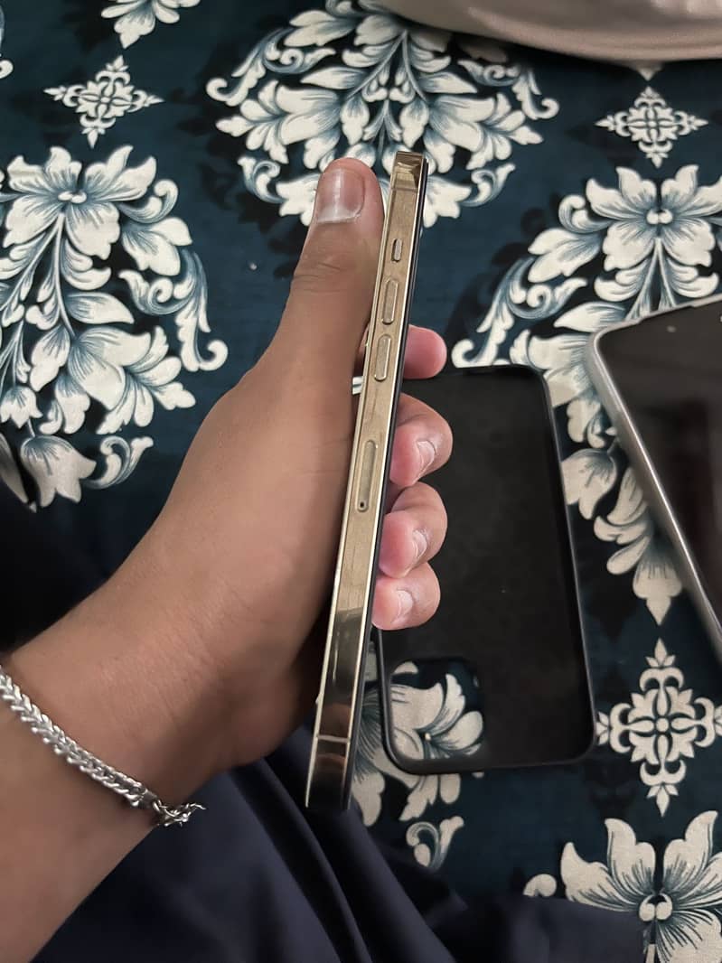 Iphone 12 pro max 2
