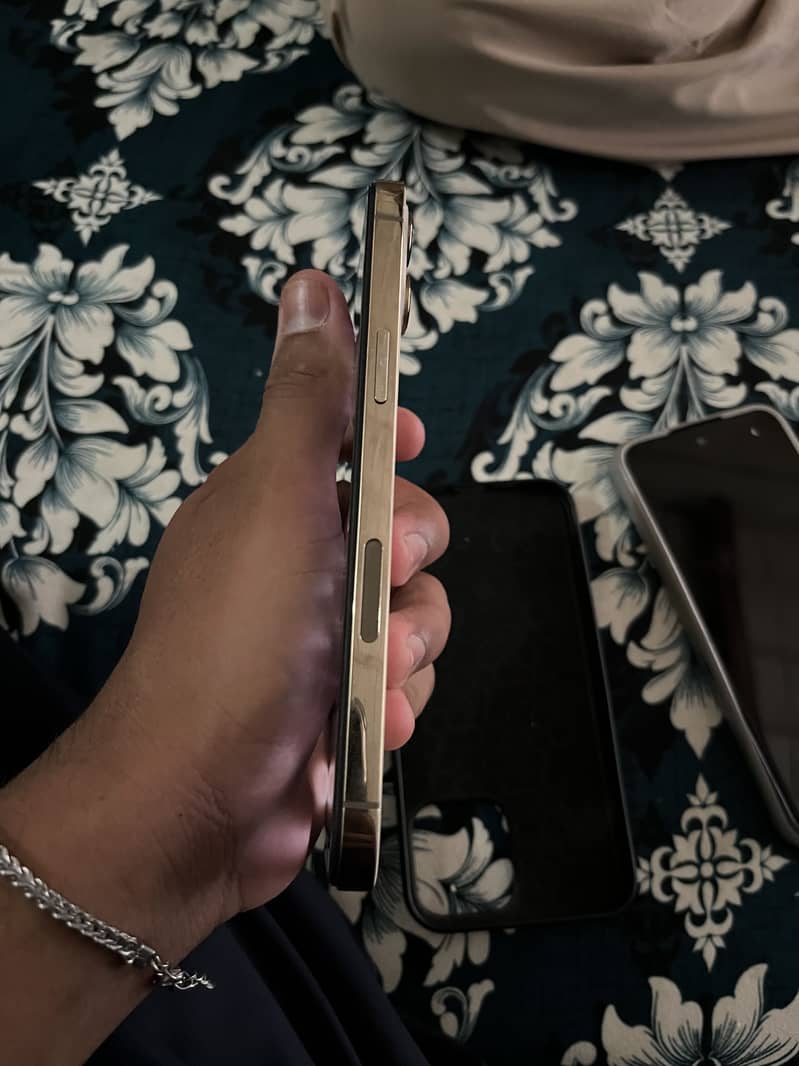 Iphone 12 pro max 3