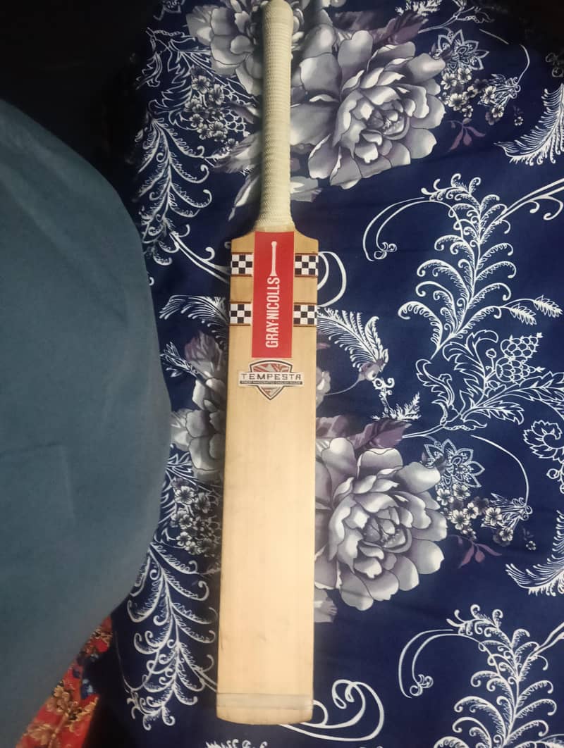 hard ball bat 2