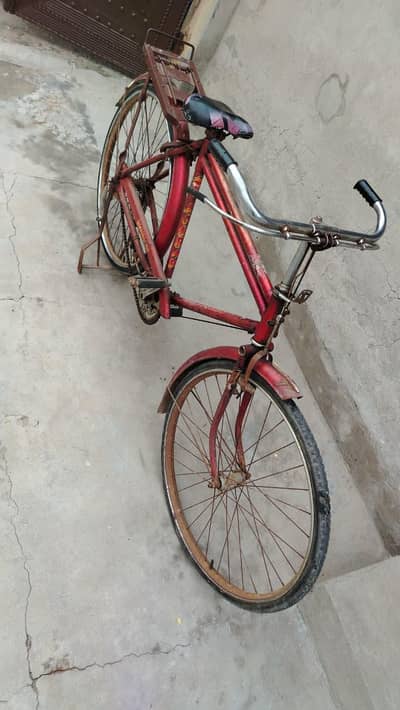 Cycle