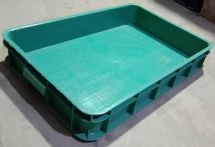 mealworm farming tray
