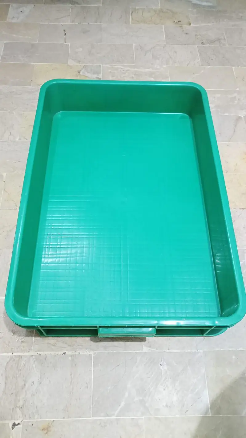 mealworm farming tray — photo 3