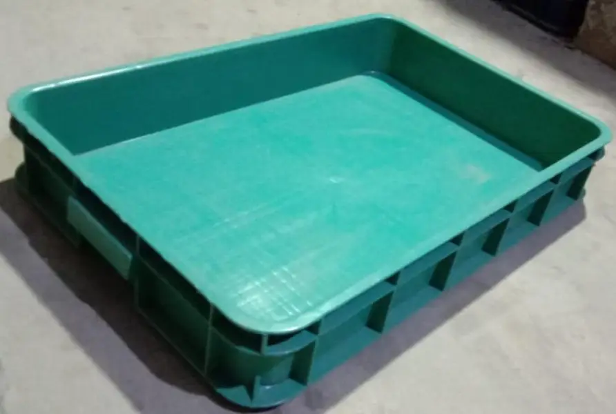 mealworm farming tray — photo 4