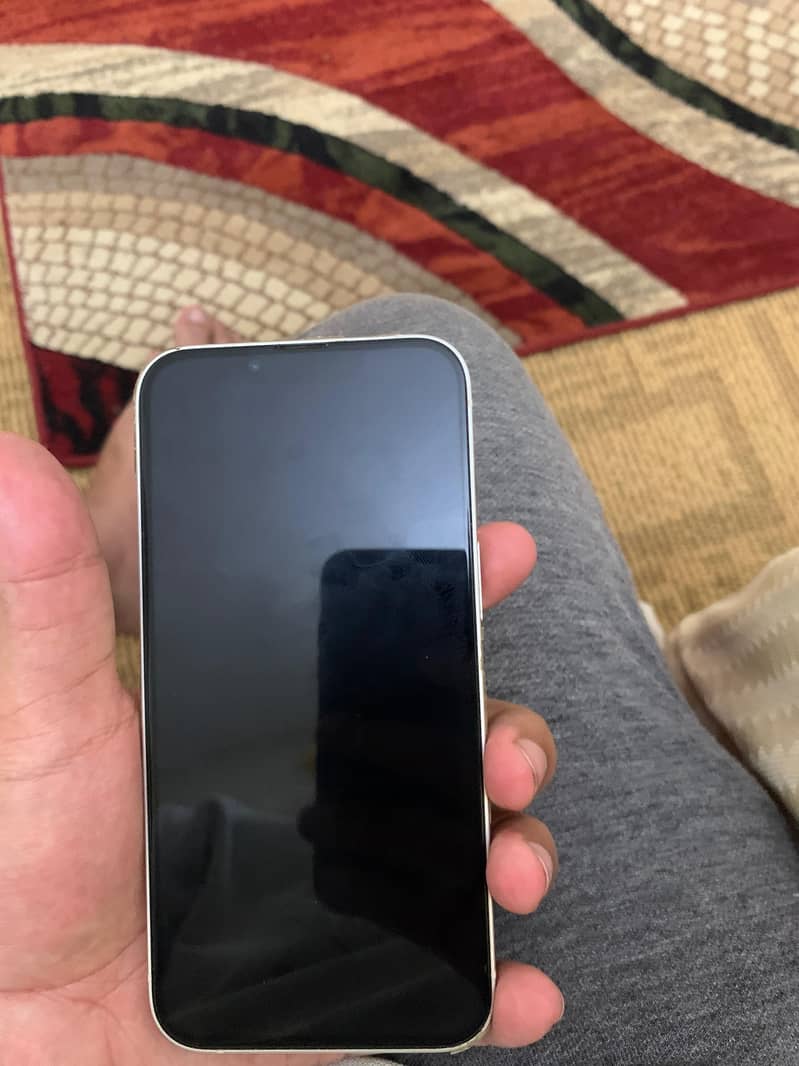 Apple iPhone 13 0