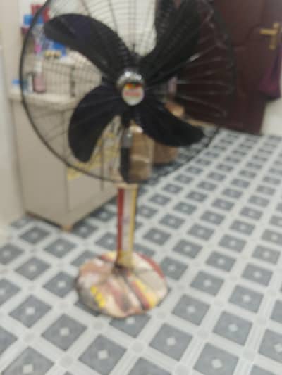 Rado Fan