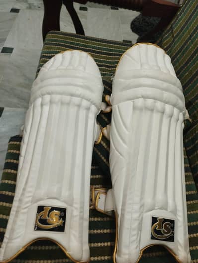 Iqbal sports premium edition pads