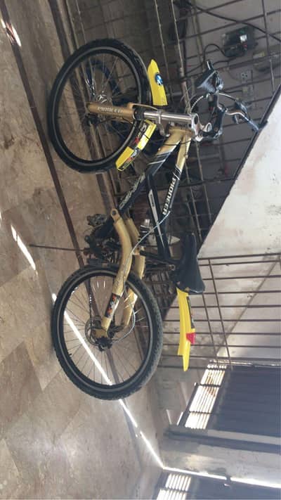 poineer bicycle for sell