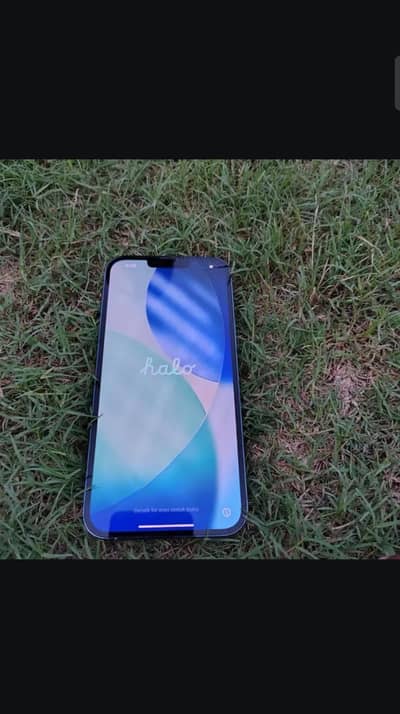 Apple iPhone 13 Pro Max