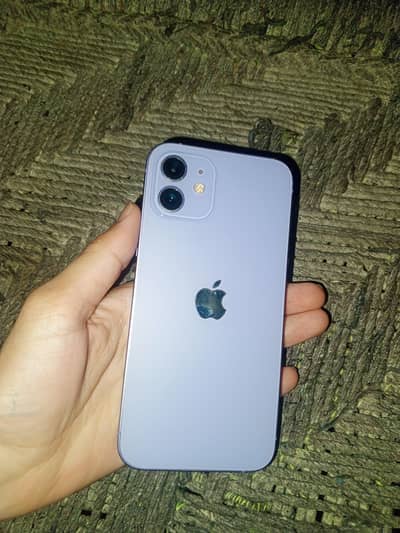 Apple iPhone 12