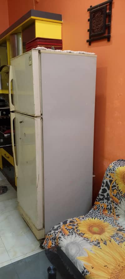 pel fridge no repair
