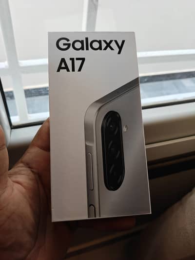 Samsung A17 8/256