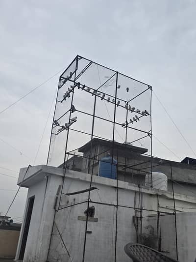 pori chat forsale