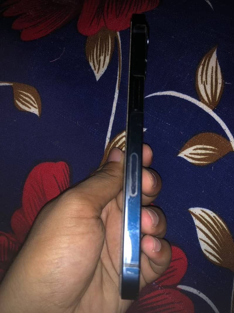 Apple iPhone 13 0