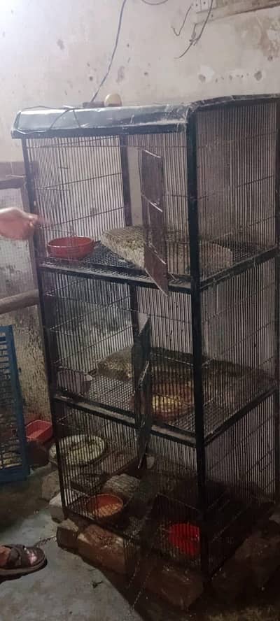 cage and jawa madi long height