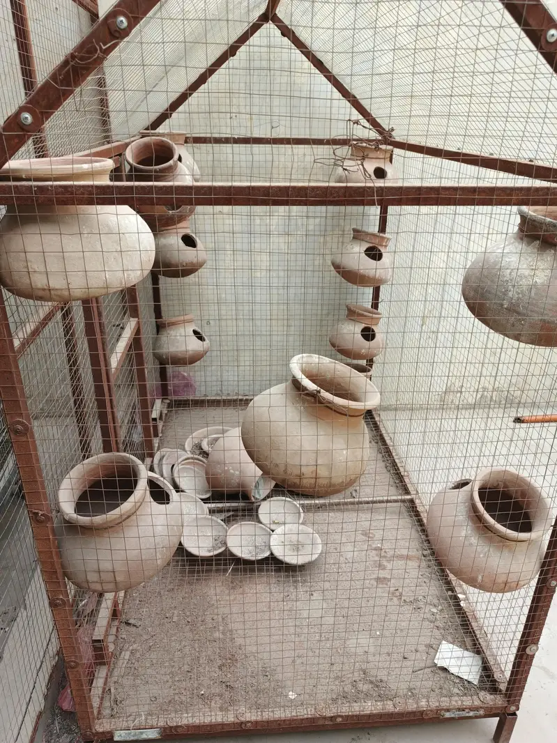 Bird Cage for Sale – Complete Setup with Clay Dollis — photo 3