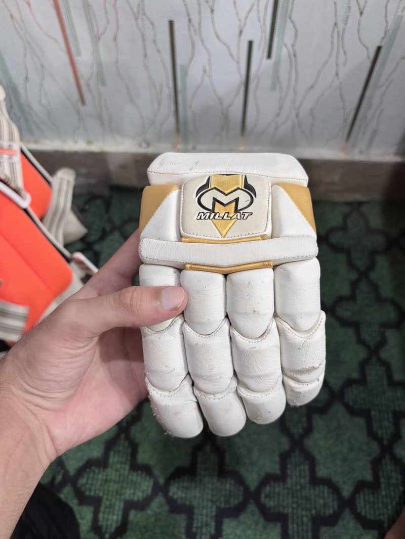 Cricket kit 5