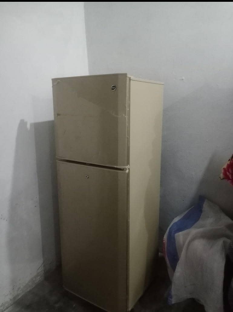 PEL fridge 1