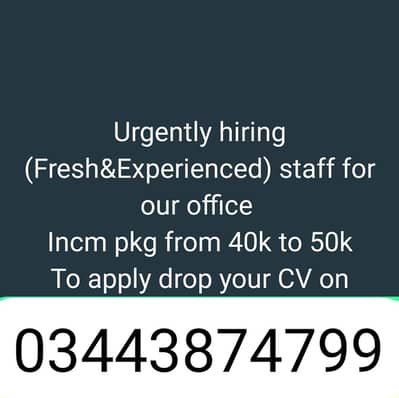 urgently Hiring Fresh and Experience staff