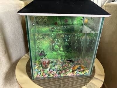 Fish tank for sale small