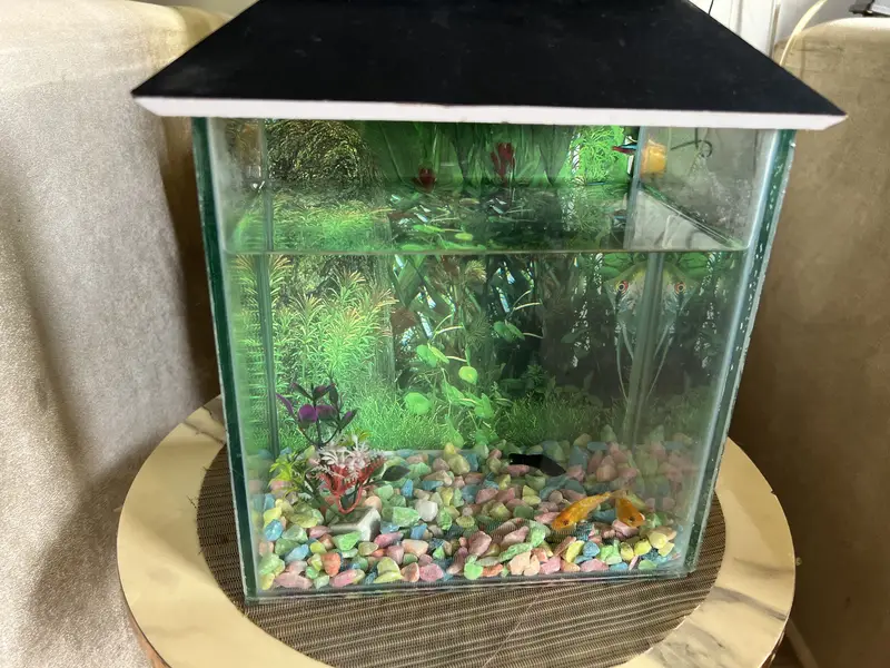 Fish tank for sale small