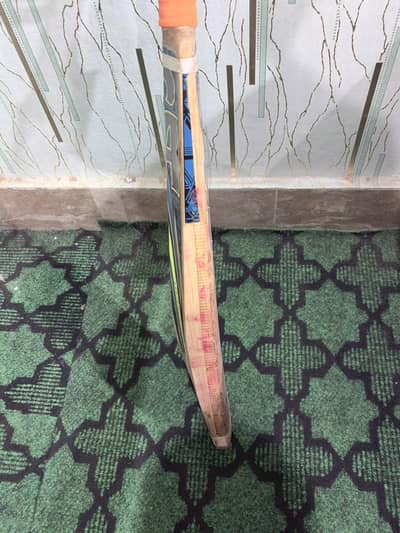 cricket kit
