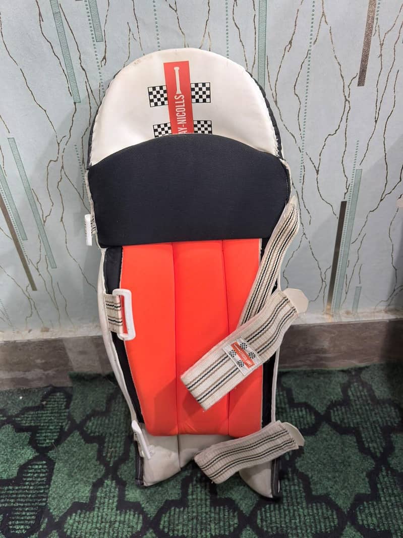 cricket kit 8