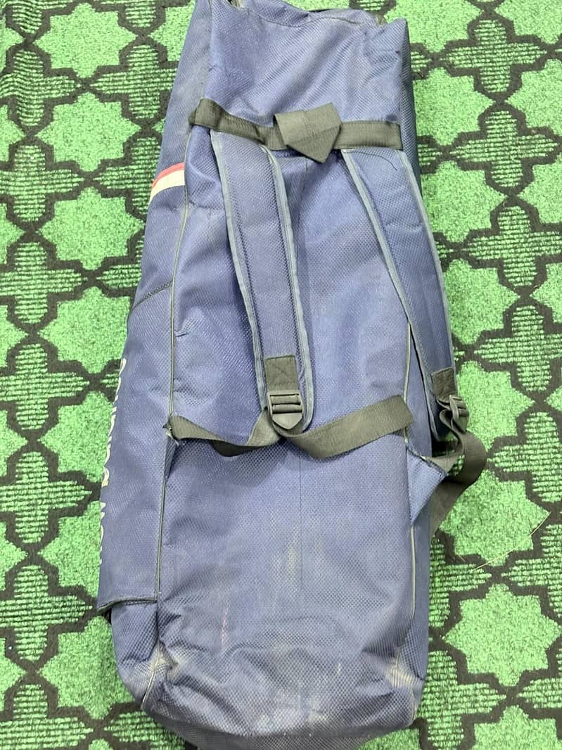 cricket kit 10