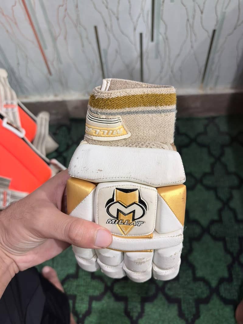 cricket kit 12