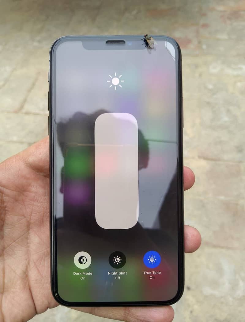 Apple iPhone X 12
