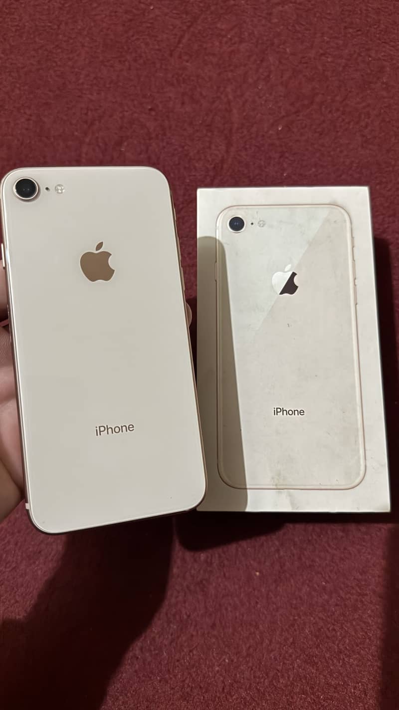 Apple iPhone 8 1