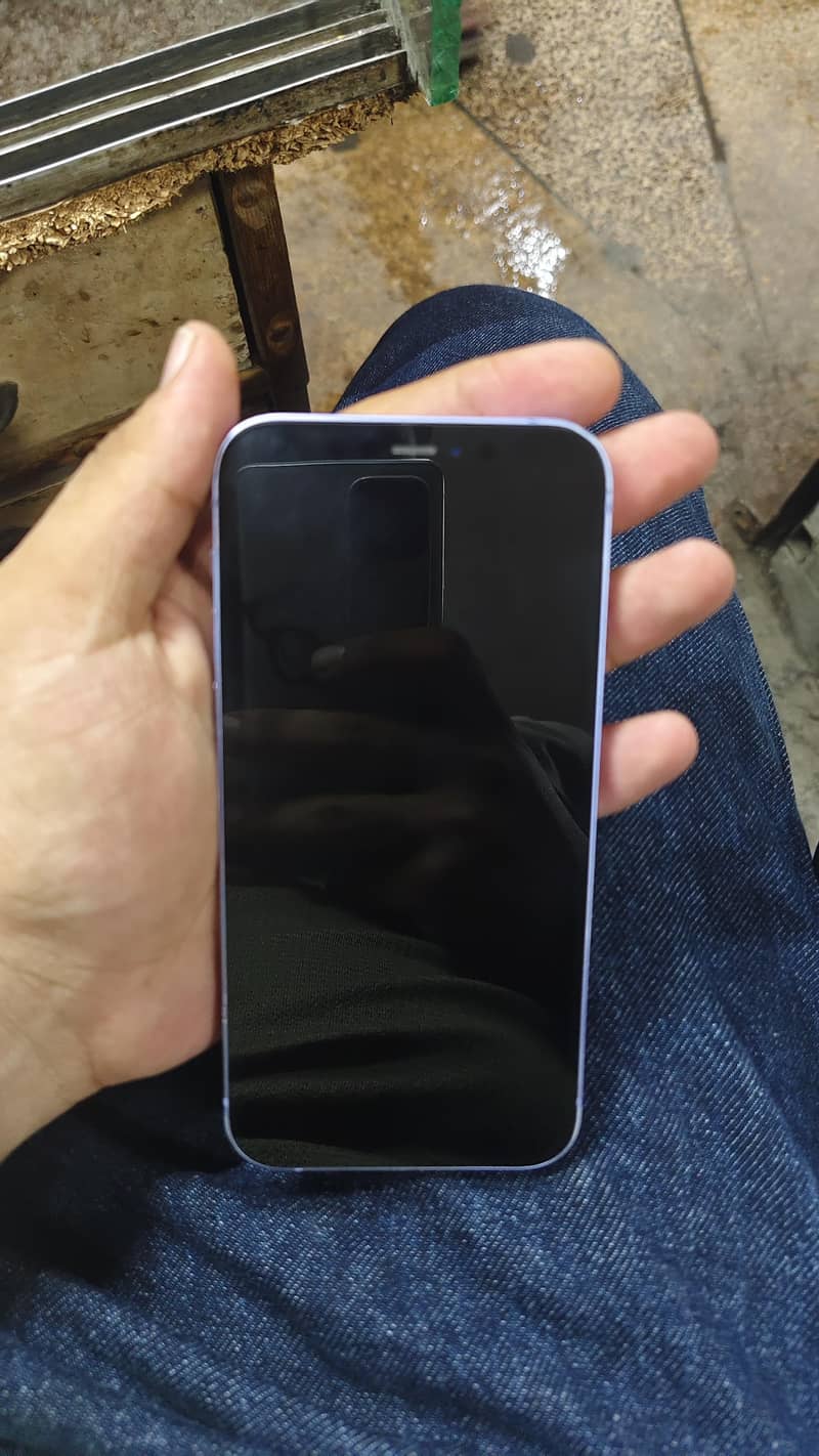 Apple iPhone 12 1