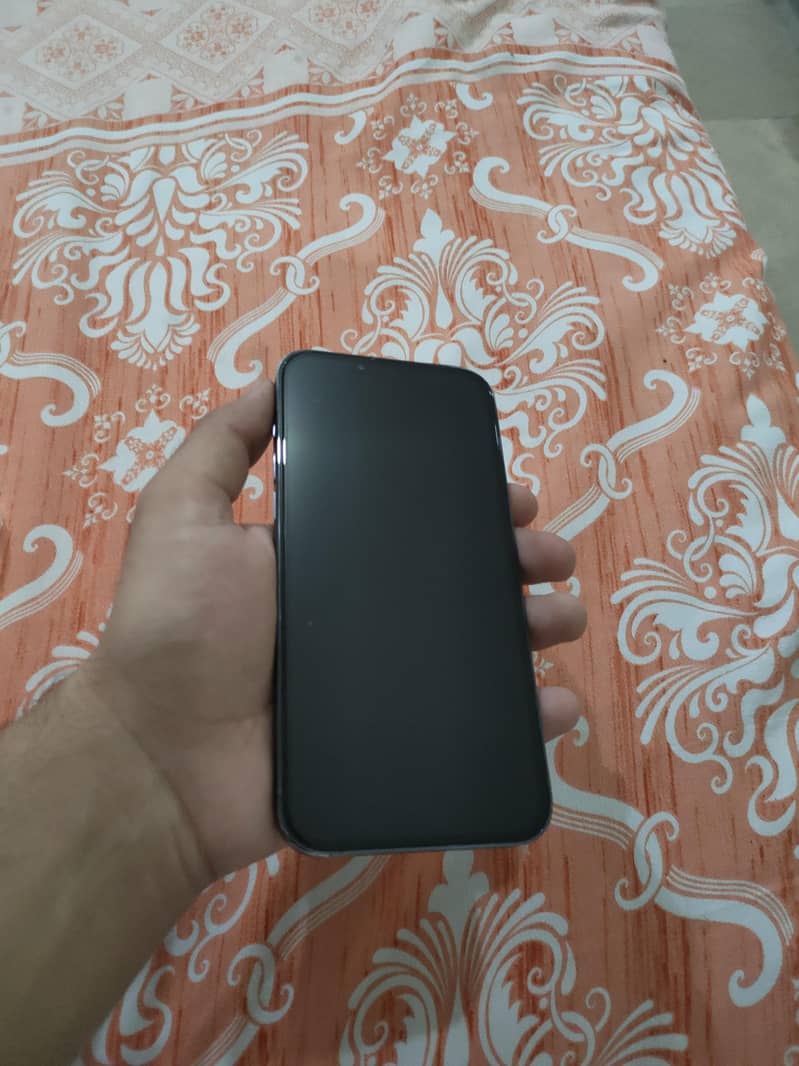 Apple iPhone 13 Pro Max 2