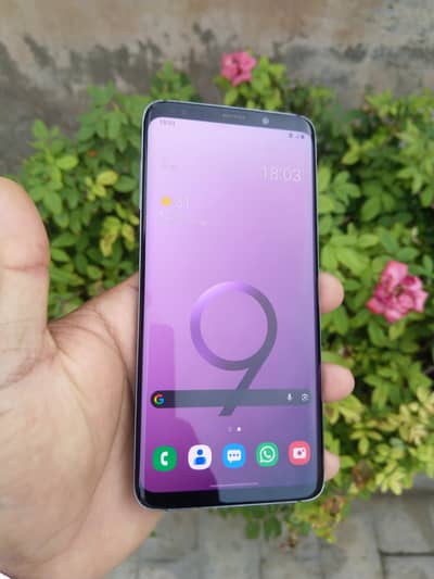 Samsung Mobile S9 Plus