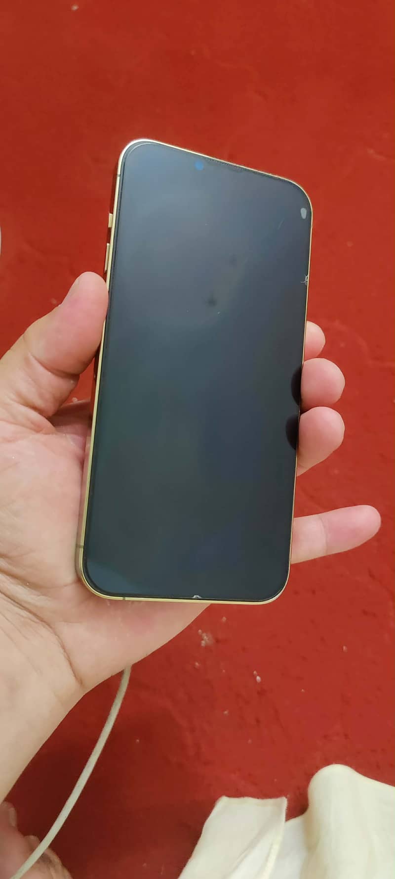 Apple iPhone 13 Pro Max 1