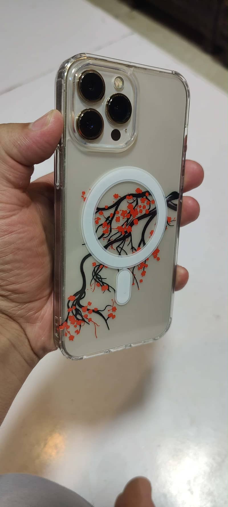 Apple iPhone 13 Pro Max 2